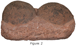 Figure: 2, This company offers various levels of counterfeit Hadrosaur eggs that vary in price and appearance