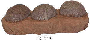 Figure: 3, This company offers various levels of counterfeit Hadrosaur eggs that vary in price and appearance