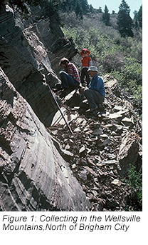 Figure 1: Collecting in the Wellsville Mountains, North of Brigham City