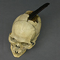 Spanish Conquistador skull Stolen from Tucson Gem and Mineral World Spanish Conquistador skull Stolen from Tucson Gem and Mineral World